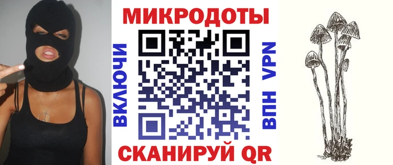 Купить закладки  Серов  Псилоцибиновые грибы GOLDEN TEACHER 